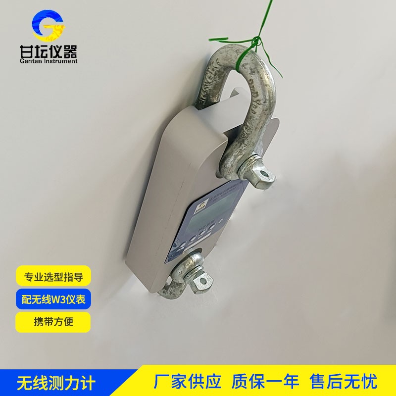 250t測(cè)力儀